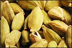 Cardamom