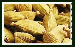 Cardamom 