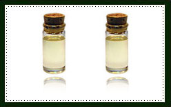 Cedar Wood Essential Oil