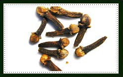 Cloves 