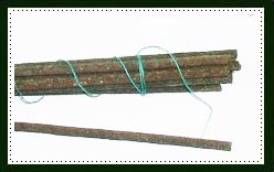 Cypress Incense Sticks