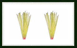 floral incense sticks