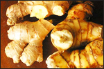 Galangal