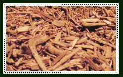 Labdanum Resin