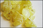 Mastic (plant resin)