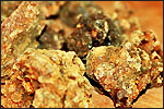 Myrrh