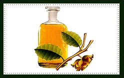 Patchouli Essential Oil