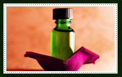 Rose Essential Oil