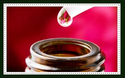 Rose Essential Oil