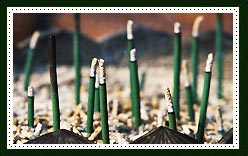 Tennendo Japanese incense 